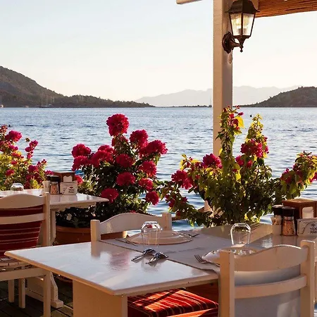 Aphrodite Selimiye (Aegean)
