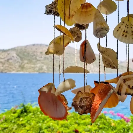 Aphrodite Hotel