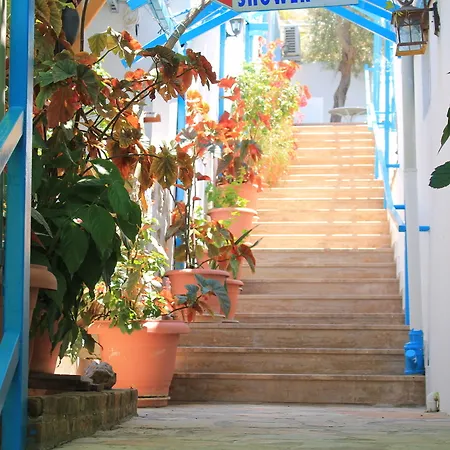 Hotel Aphrodite Selimiye (Aegean)