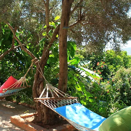 Hotel Aphrodite 3*