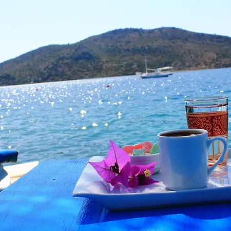 Hotel Aphrodite 3*