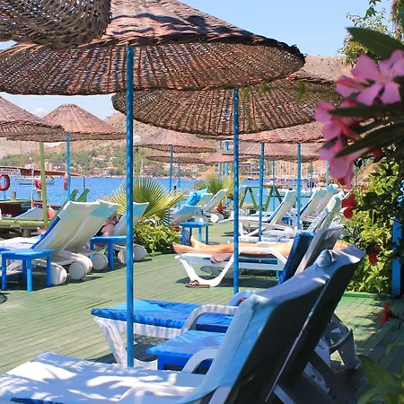 Aphrodite 3*