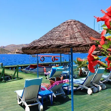 Aphrodite 3*