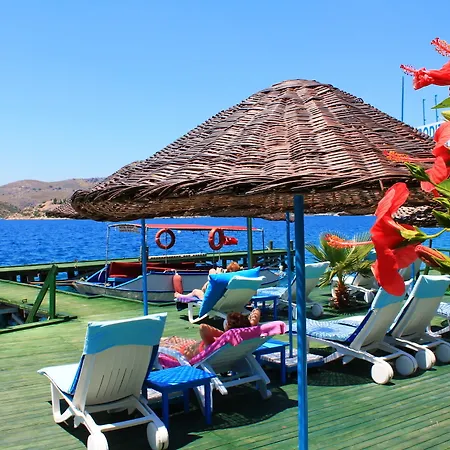 Aphrodite 3*