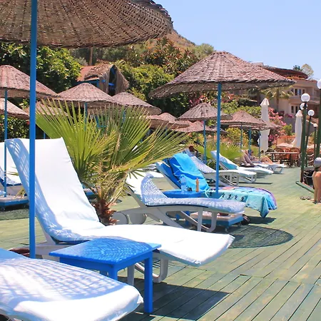 Aphrodite 3*