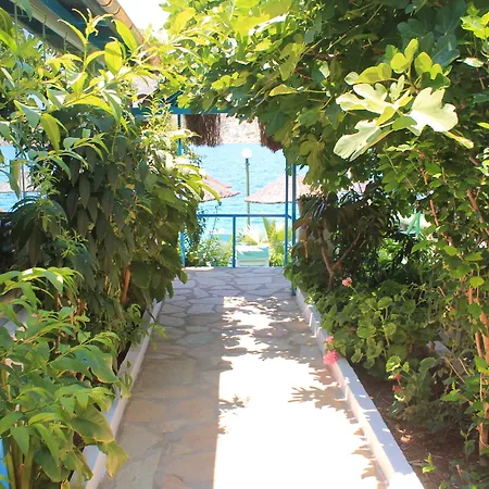 Aphrodite Hotel 3*
